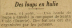 des loups en Italie