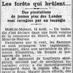 Les forêts qui brûlent