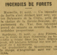 incendies de forêts