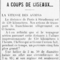 Le salaire des oiseaux- à coups de ciseaux