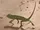 Caméléon vignette