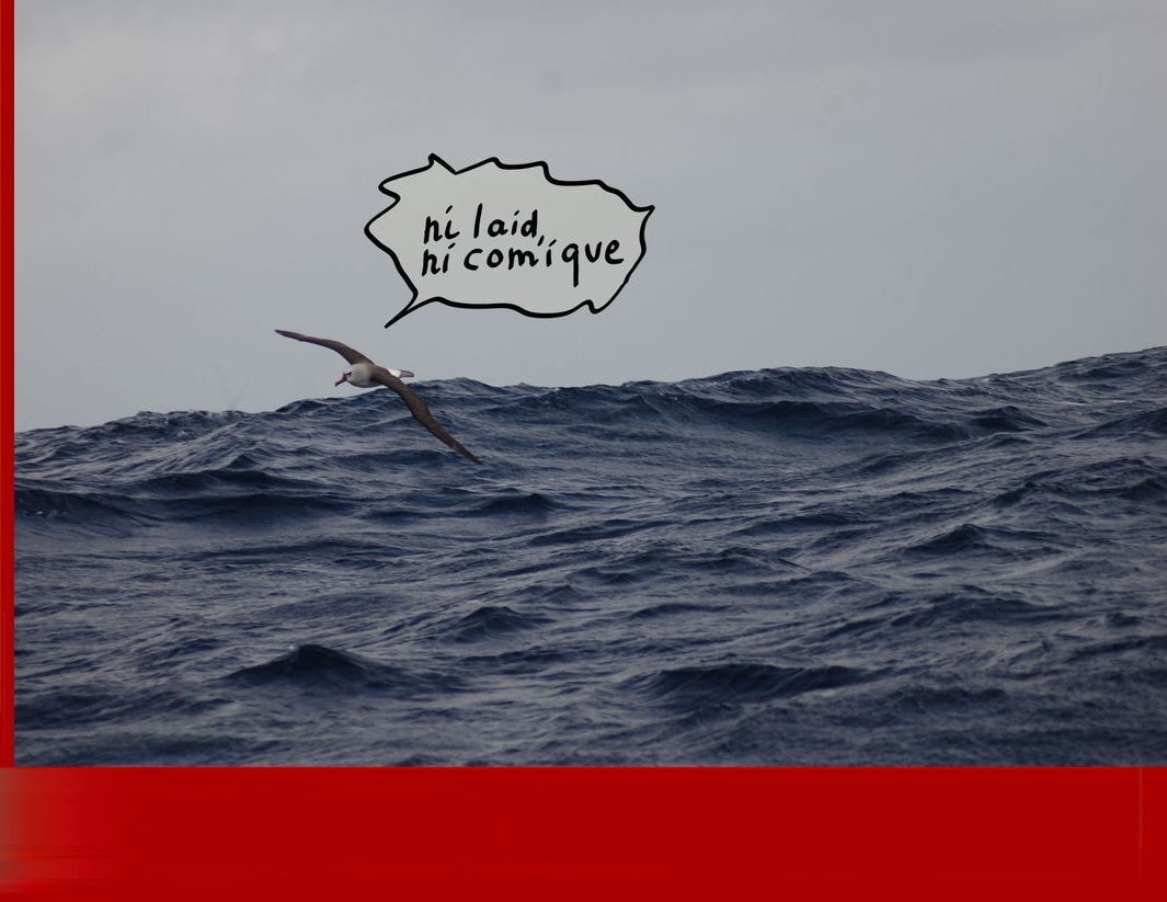 ni comique ni laid 1