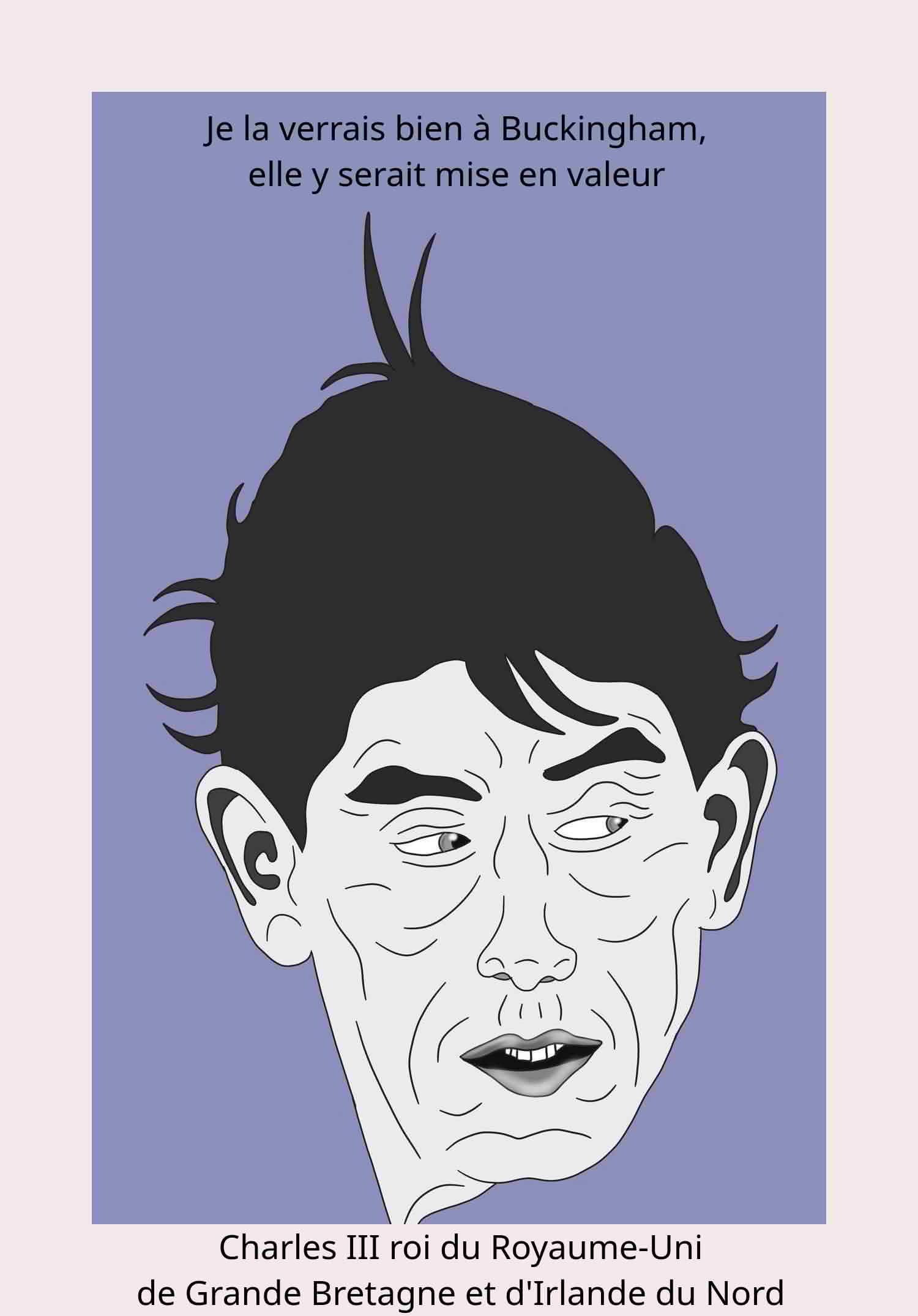 Charles III roi du Royaume Uni et d'Irlande du Nord