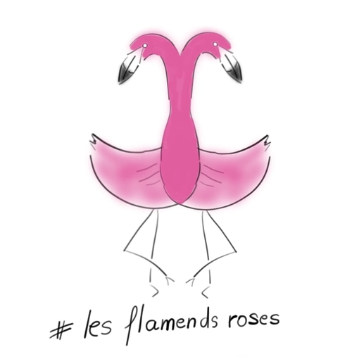 2022 juin 15 flamends roses 05 05