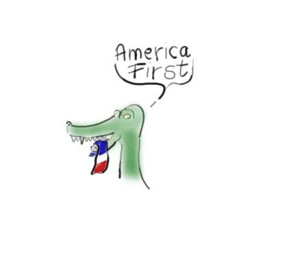 crocodile crocs krokos proces