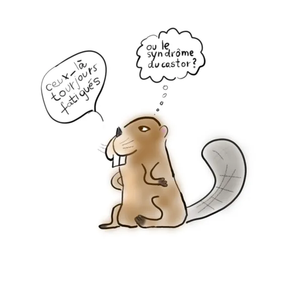 election 2022 piolle castor fatigue macron