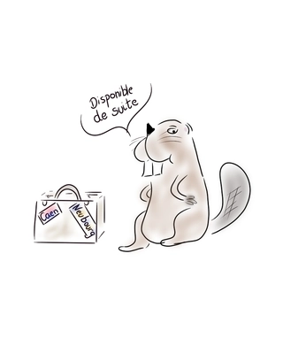 abattage des arbres à Caen et Le-Neubourg