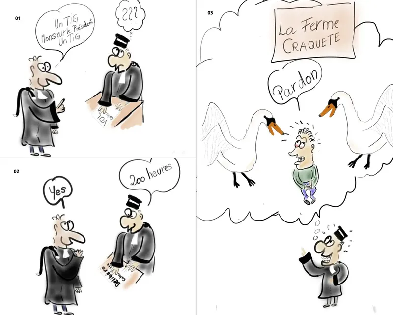 jugement oeufs cygne volés oise coye